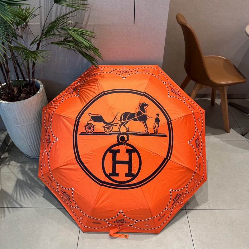 Hermes Umbrella (20)